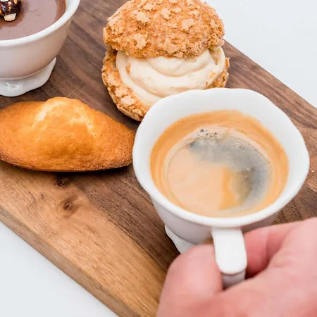 Novotel Lyon Meeting & Events 布龙