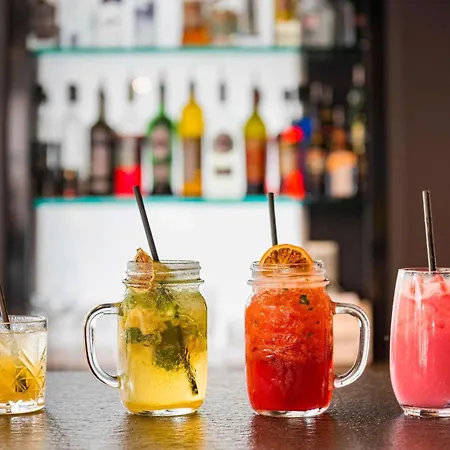 Novotel Lyon Meeting & Events Hotel Bron