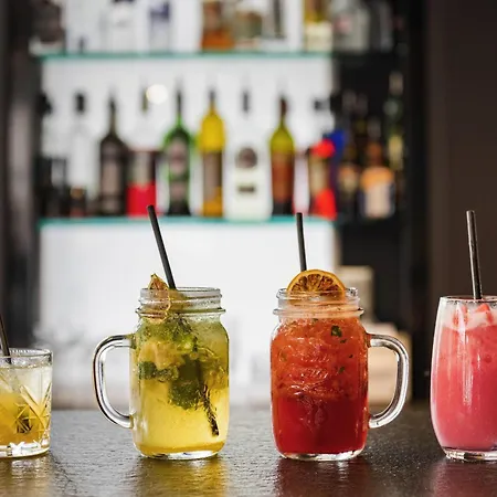 Novotel Lyon Meeting & Events 4*